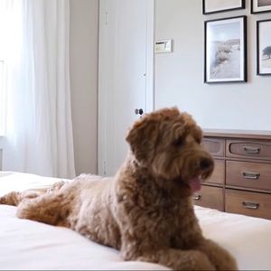 Meet your Posher, Jasleen